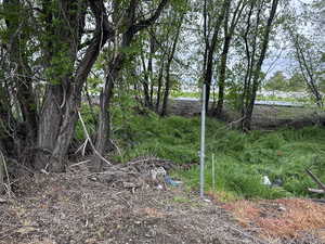 View of the stake with the limit at the north back of the lot.