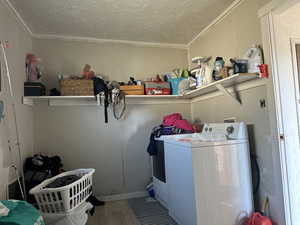 Clothes washing area featuring washer / clothes dryer, crown molding, and hardwood / wood-style flooring