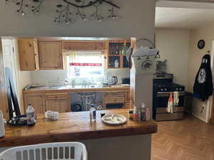 Another Kitchen view Building #1 downstairs featuring light parquet flooring, stainless steel range with gas stovetop, butcher block counters, and sink