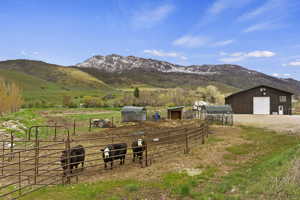 Cattle Corral Area