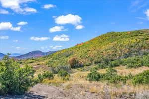 Standing on Lot 260 looking south into future homesite(s)