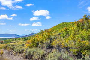 Standing on Lot 260 looking south into future homesite(s)