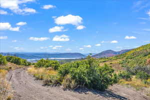 Standing on Lot 260 looking east into future homesite(s)