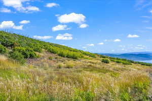 Standing on Lot 260 looking east into future homesite(s)