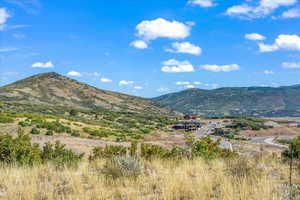 View standing on Lot 262 looking north with Skyridge Peak in background