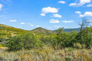 View standing on Lot 262 looking north at Skyridge Peak