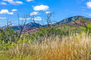 View standing on Lot 261 looking south at Deer Valley Resort