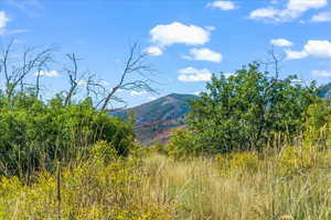 View standing on Lot 262 looking south with Deer Valley in distance