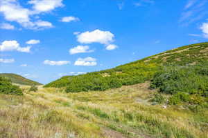 Standing on Lot 260 looking north into future homesite(s)