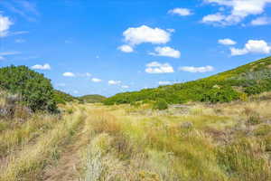 Standing on Lot 260 looking north into future homesite(s)