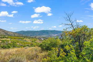 View standing on Lot 261 looking east