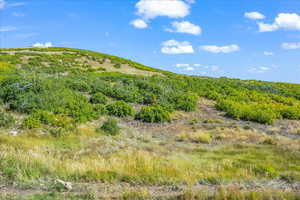 Standing on Lot 260 looking north into future homesite(s)