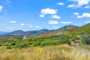 View standing on Lot 261 looking south at The Deer Valley Resort