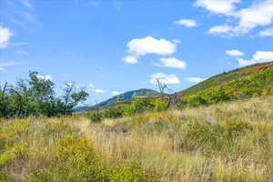 View standing on Lot 261 looking south with Deer Valley in distance