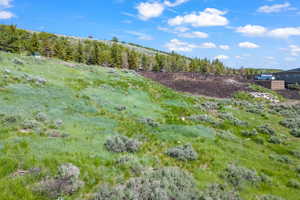 Photo 7 of 6902  PAINTED VALLEY PASS