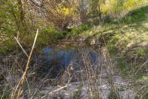 View of nature featuring a water view