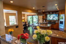 Kitchen with a healthy amount of sunlight and extractor fan