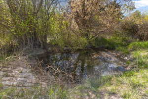 View of nature with a water view