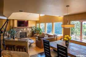 Living room featuring a fireplace and hardwood / wood-style floors