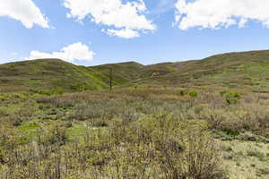 Photo 42 of 978 S UPLAND LOOP