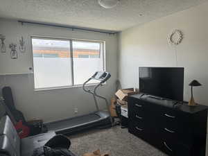 Workout area with a textured ceiling and carpet floors