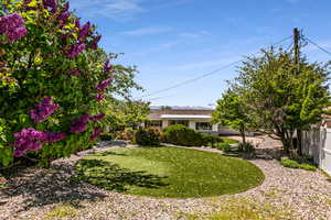 View of upper backyard