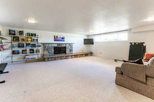 Large basement family room with fireplace and shelving