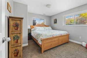 Bedroom with dark carpet