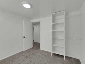 Unfurnished bedroom with carpet flooring