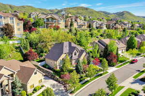 Aerial view with a mountain view