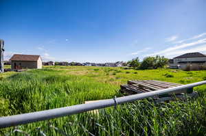 Backyard. The property line extends past the fence to about the end of the shed.