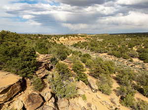 Beautiful Property Drone Views