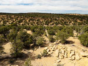 Beautiful Property Drone Views