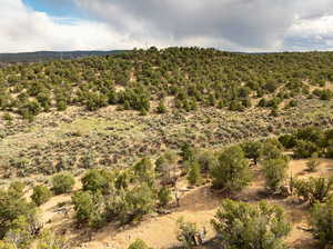 Beautiful Property Drone Views