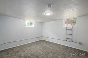 Basement with a textured ceiling, carpet flooring, and a healthy amount of sunlight