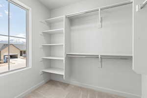 Walk in closet featuring carpet floors