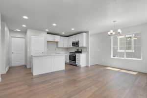 Kitchen with hardwood / wood-style floors, white cabinetry, an island with sink, appliances with stainless steel finishes, and pendant lighting