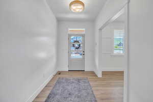 Entrance foyer with light hardwood / wood-style floors