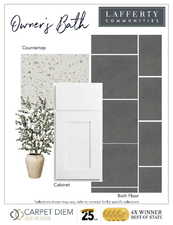 Primary bathroom finishes