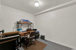 Office area with carpet and a textured ceiling