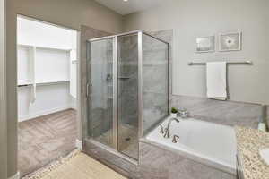 Bathroom with separate shower and tub and vanity