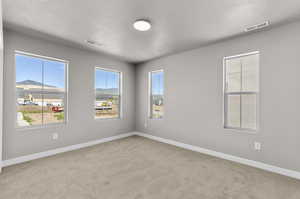 Carpeted empty room with a textured ceiling and plenty of natural light