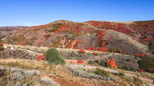 View of mountain feature