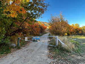 View of road