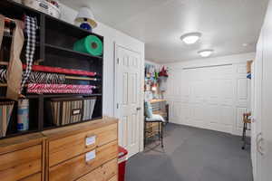 Craft style room with storage closet with shelves