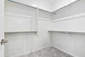 Spacious closet featuring carpet