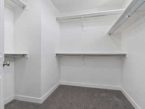 Spacious closet featuring dark colored carpet