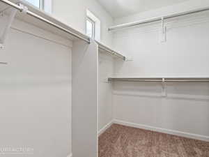 Spacious closet featuring carpet flooring