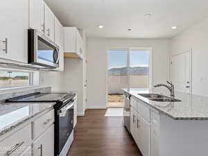 Kitchen featuring a wealth of natural light, dark wood-type flooring, appliances with stainless steel finishes, and sink