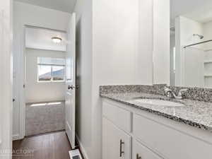 Bathroom featuring wood-type flooring and vanity